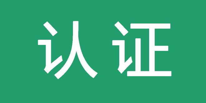 外链规划和蜘蛛池策略